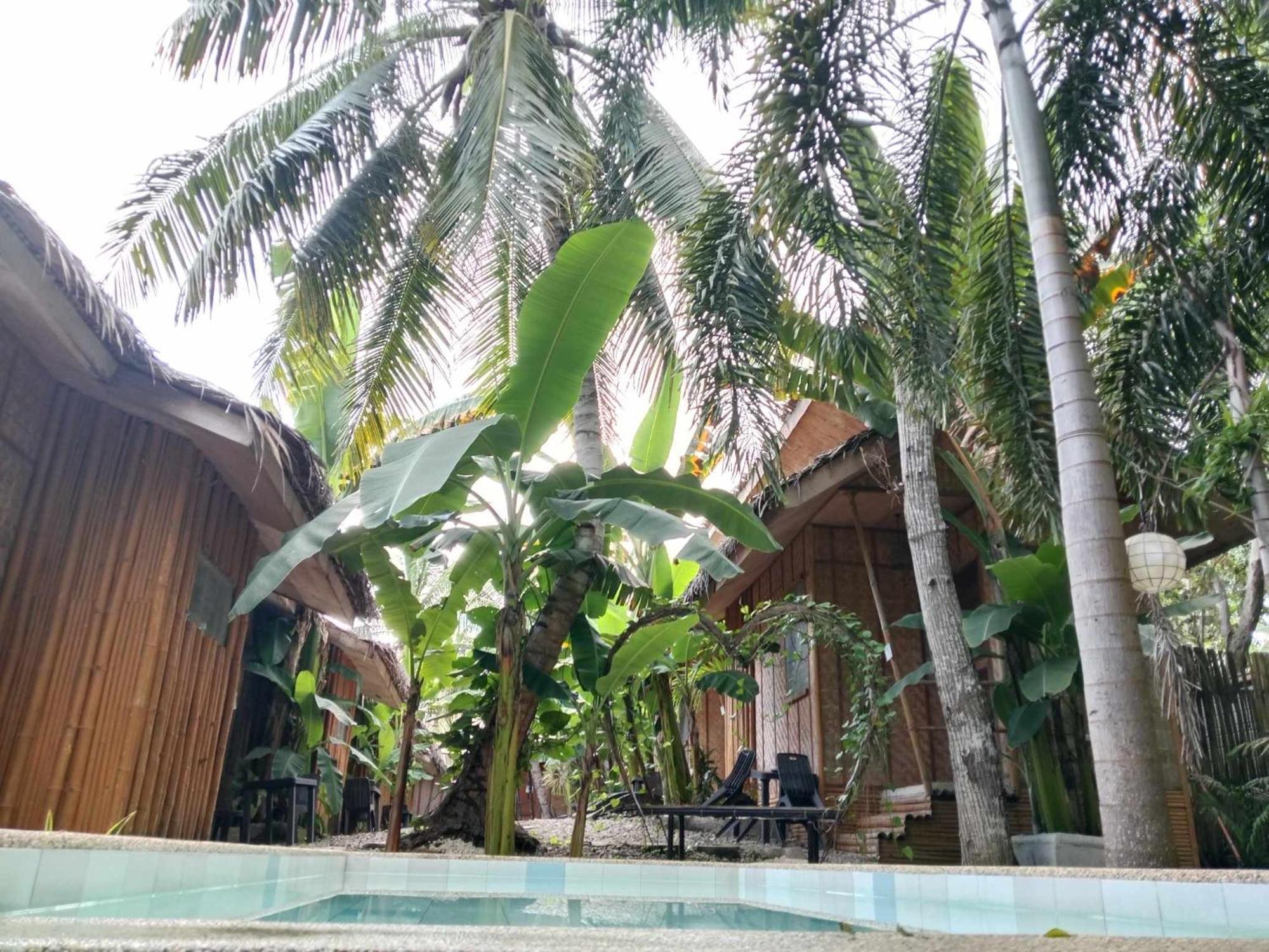 Ecostay Panglao Resort Hotel מראה חיצוני תמונה