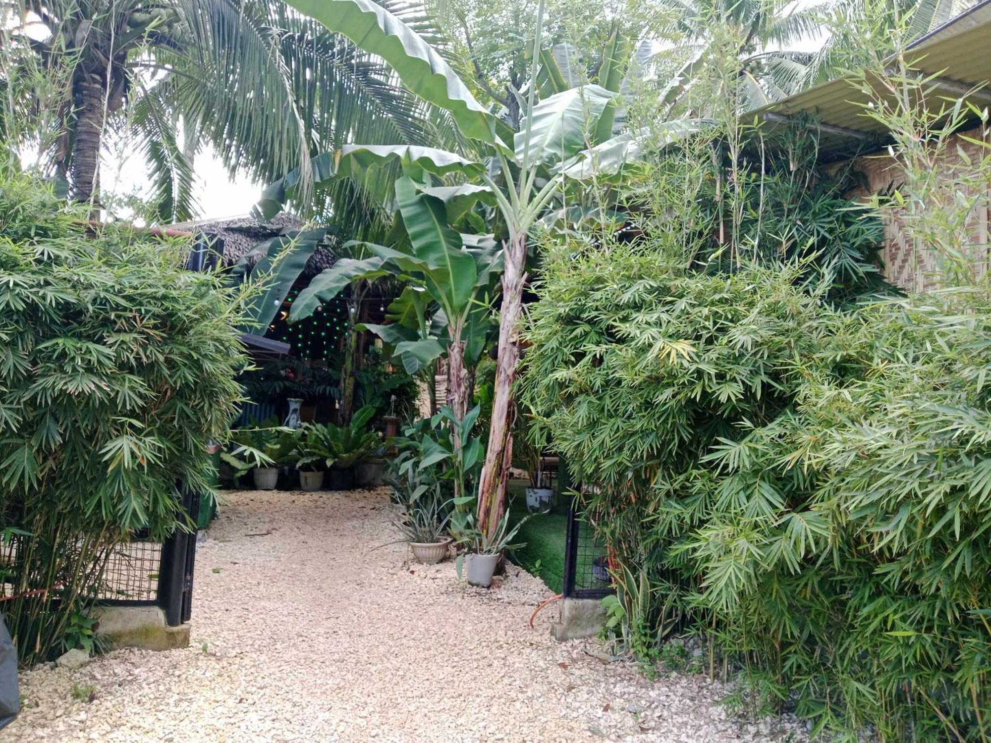 Ecostay Panglao Resort Hotel מראה חיצוני תמונה